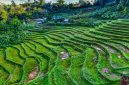 Hamparan sawah hijau melingkupi pemukiman warga di bawah naungan tebing-tebing batu granit menjulang tinggi di Lembah Harau, Sumatera Barat.