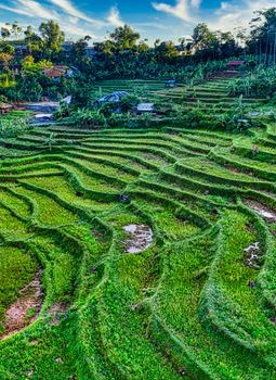 Meretas Jejak Sunyi di Lembah Harau: Mengubah Cara Kita Memaknai Liburan Nusantara