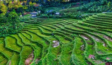 Meretas Jejak Sunyi di Lembah Harau: Mengubah Cara Kita Memaknai Liburan Nusantara