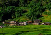 Seorang wisatawan menikmati suasana tenang di kawasan pedesaan asri yang mengedepankan prinsip pariwisata berkelanjutan dan pelestarian lingkungan lokal.