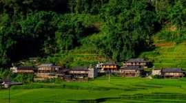 Seorang wisatawan menikmati suasana tenang di kawasan pedesaan asri yang mengedepankan prinsip pariwisata berkelanjutan dan pelestarian lingkungan lokal.