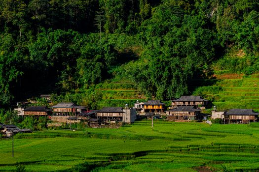 Seorang wisatawan menikmati suasana tenang di kawasan pedesaan asri yang mengedepankan prinsip pariwisata berkelanjutan dan pelestarian lingkungan lokal.