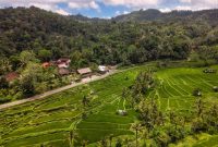 Pemandangan pedesaan tradisional di Sumba dengan latar belakang perbukitan hijau dan rumah adat beratap tinggi yang menawarkan suasana tenang bagi para pelancong.