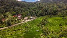 Pemandangan pedesaan tradisional di Sumba dengan latar belakang perbukitan hijau dan rumah adat beratap tinggi yang menawarkan suasana tenang bagi para pelancong.