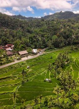 Menemukan Kedamaian Hakiki Melalui Perjalanan Wisata Lambat di Pelosok Nusantara