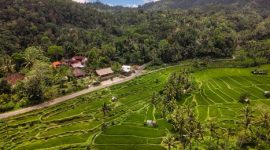 Pemandangan pedesaan tradisional di Sumba dengan latar belakang perbukitan hijau dan rumah adat beratap tinggi yang menawarkan suasana tenang bagi para pelancong.
