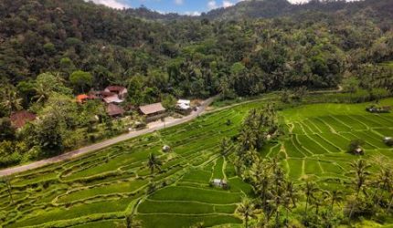 Menemukan Kedamaian Hakiki Melalui Perjalanan Wisata Lambat di Pelosok Nusantara