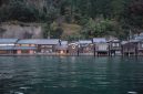 Pemandangan rumah-rumah kayu tradisional beratap jerami di kawasan pedesaan Miyama, Kyoto, yang menyajikan suasana tenang khas pedesaan Jepang bagi para penjelajah.