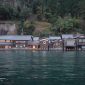 Pemandangan rumah-rumah kayu tradisional beratap jerami di kawasan pedesaan Miyama, Kyoto, yang menyajikan suasana tenang khas pedesaan Jepang bagi para penjelajah.