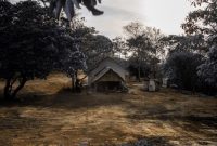 Suasana tenang pagi hari di perkampungan adat Sumba Timur yang menawarkan kehangatan interaksi masyarakat lokal serta pemandangan perbukitan yang megah.