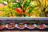 Hamparan dedaunan maple memerah memandangi kolam tradisional di Kuil Tenryu-ji, Kyoto, menciptakan panorama musim gugur yang menenangkan bagi para pengunjung.