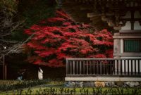 Suasana tenang di salah satu lorong pemukiman tradisional Kyoto dengan nuansa dedaunan musim gugur yang memerah indah.