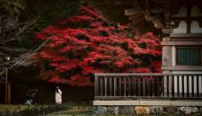 Suasana tenang di salah satu lorong pemukiman tradisional Kyoto dengan nuansa dedaunan musim gugur yang memerah indah.