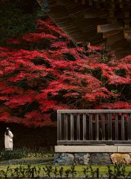 Menjelajah Sudut Tersembunyi Kyoto: Kehangatan Budaya dan Melambatnya Waktu di Musim Gugur