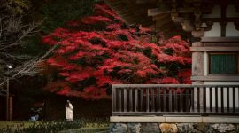 Suasana tenang di salah satu lorong pemukiman tradisional Kyoto dengan nuansa dedaunan musim gugur yang memerah indah.