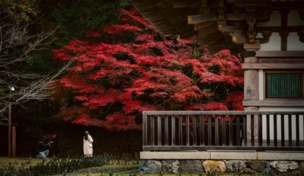 Menjelajah Sudut Tersembunyi Kyoto: Kehangatan Budaya dan Melambatnya Waktu di Musim Gugur