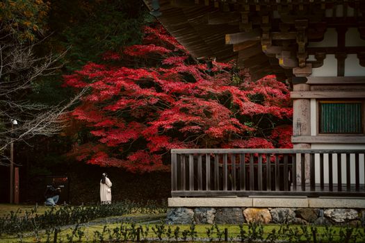 Suasana tenang di salah satu lorong pemukiman tradisional Kyoto dengan nuansa dedaunan musim gugur yang memerah indah.