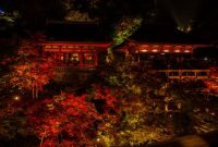 Pemandangan guguran daun mapel merah yang melapisi jalan berbatu di kawasan kuil tradisional Kyoto pada puncak musim gugur.