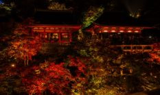 Menyusuri Keheningan Musim Gugur di Kyoto Melalui Lorong Rahasia Penuh Pesona Kuliner