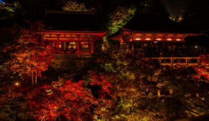 Menyusuri Keheningan Musim Gugur di Kyoto Melalui Lorong Rahasia Penuh Pesona Kuliner