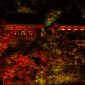 Pemandangan guguran daun mapel merah yang melapisi jalan berbatu di kawasan kuil tradisional Kyoto pada puncak musim gugur.